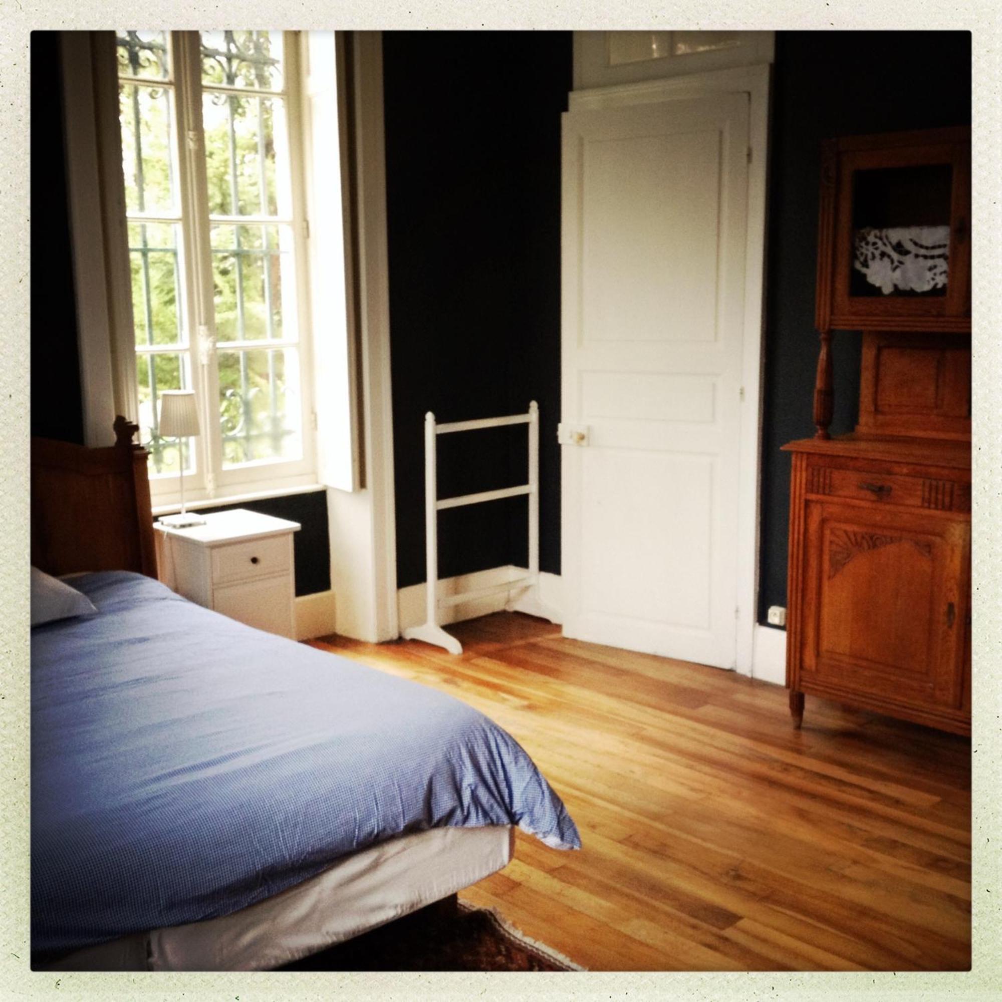 Chateau Des Edelins Bayet Room photo